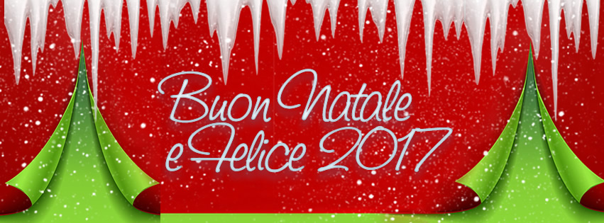 I MENU DI NATALE E SAN SILVESTRO 2017!!